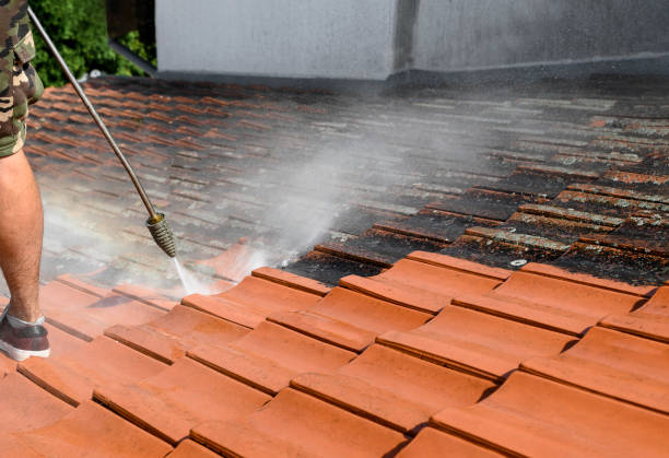 Best Sidewalk Pressure Washing  in Farm Loop, AK