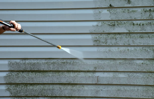 Best House Pressure Washing  in Farm Loop, AK