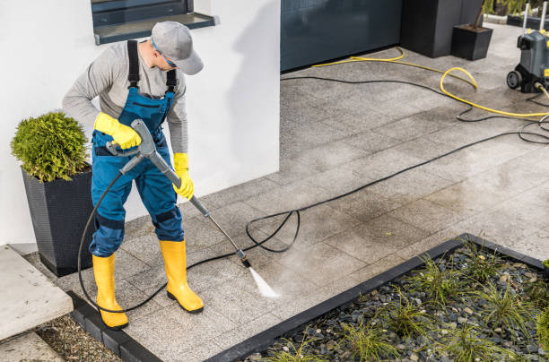Best Pressure Washing Services Near Me  in Farm Loop, AK