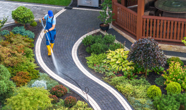 Best Roof Pressure Washing  in Farm Loop, AK